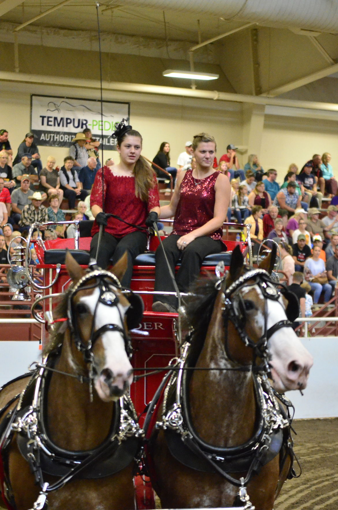 8-25-19 Draft Horse Hitch Final (59).JPG